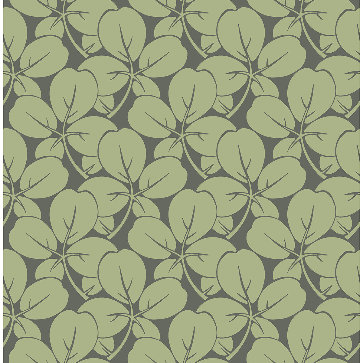 Picture of Robert Green Clover Wallpaper