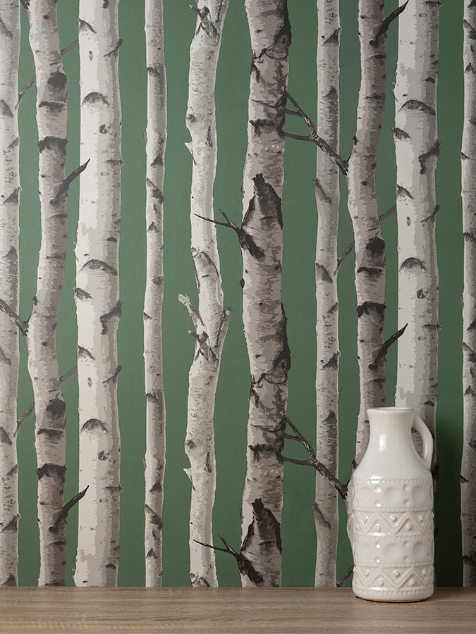 Chester Dark Green Birch Trees Wallpaper - Brewster Wallcovering