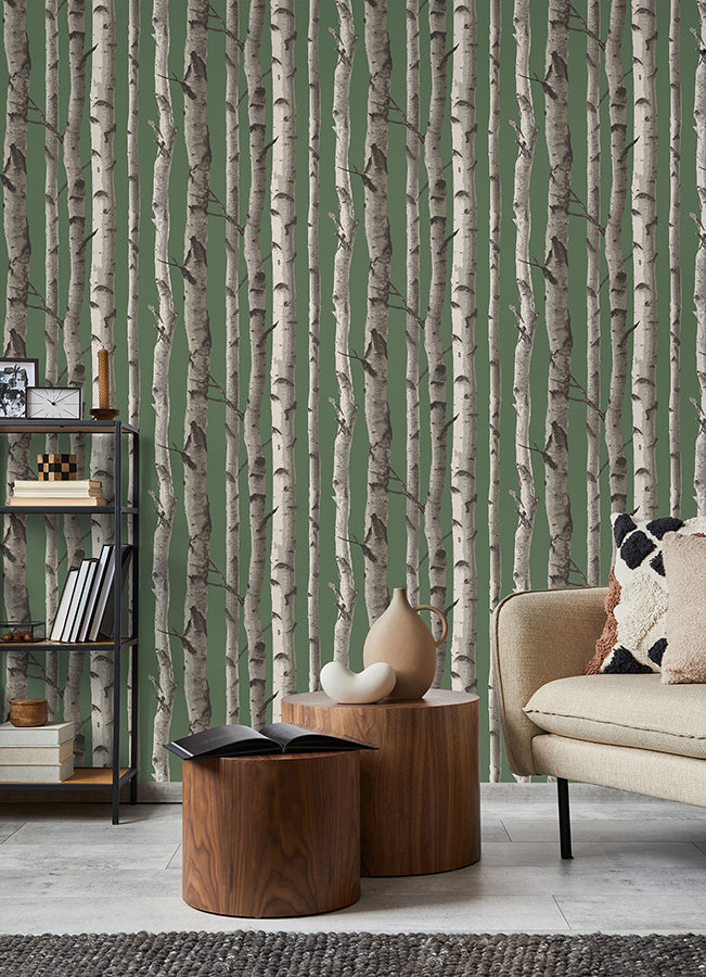 Chester Dark Green Birch Trees Wallpaper - Brewster Wallcovering
