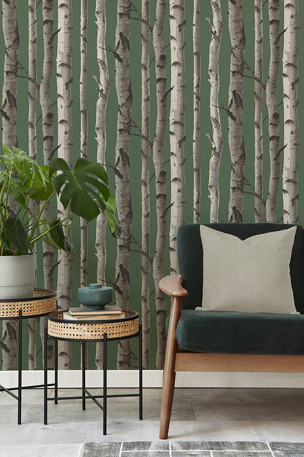 Chester Dark Green Birch Trees Wallpaper - Brewster Wallcovering