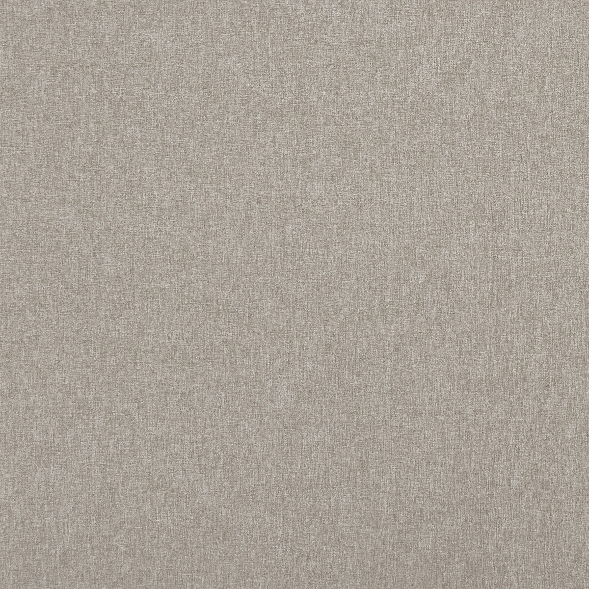 f084857cac0-highlander-mink-clarke-and-clarke - CLARKE AND CLARKE Fabric