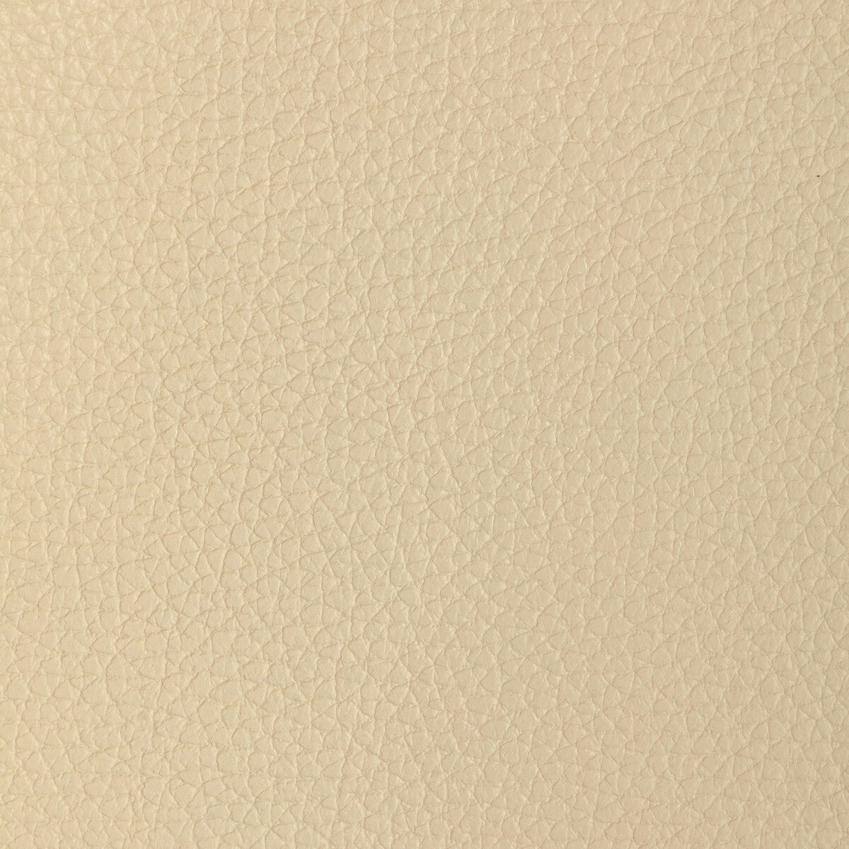 l-tucumwheat0-kravet-design-l-tucum-wheat-kravet-design