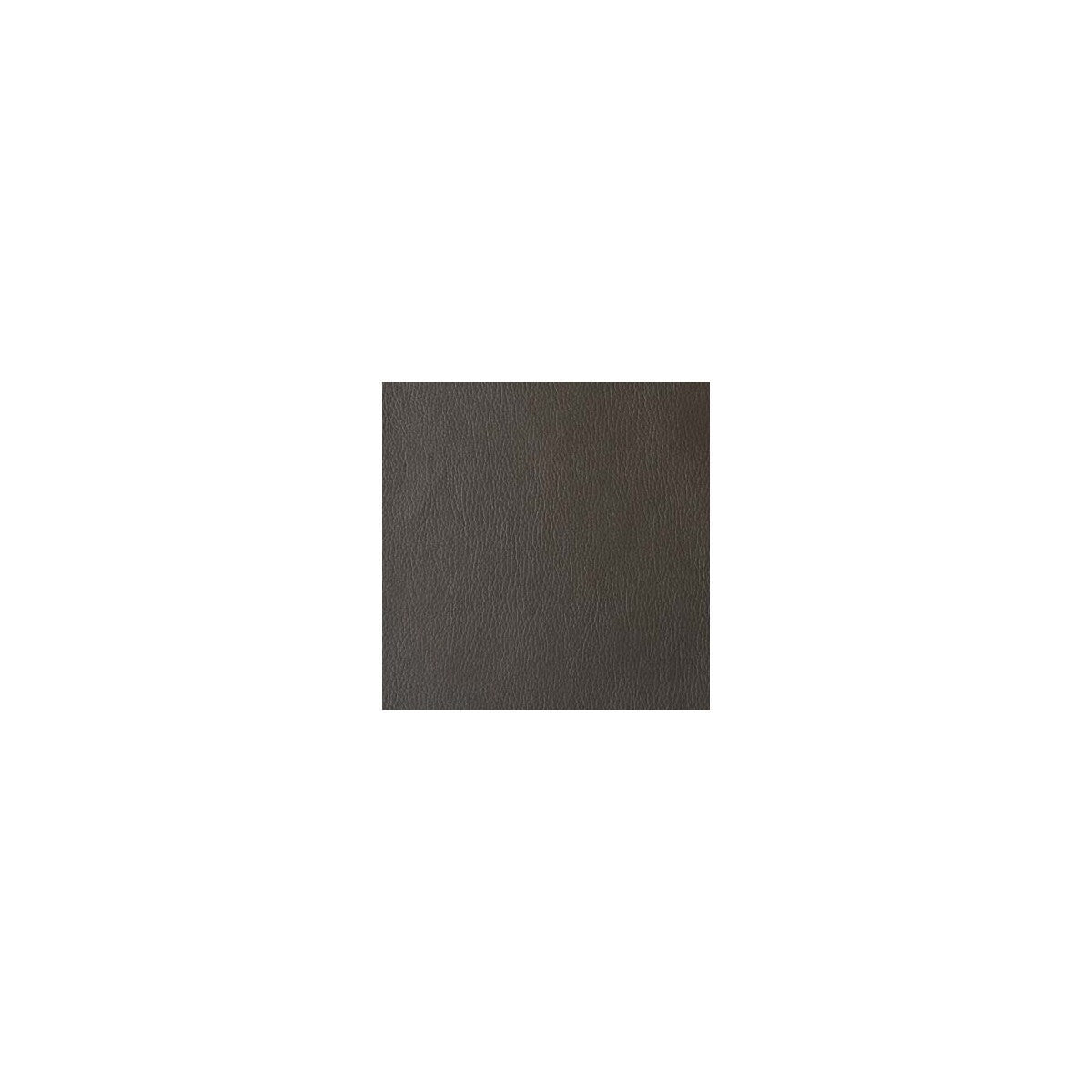 valera660-valera-brownie-kravet-contract - KRAVET CONTRACT Fabric