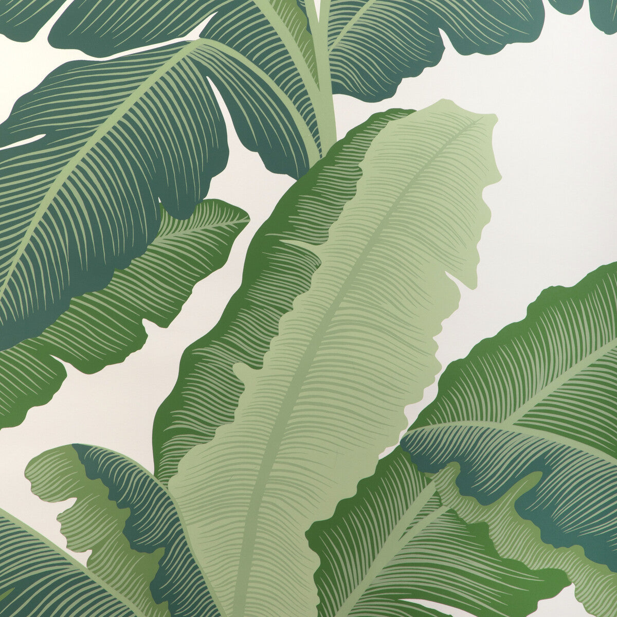 w4151330-isla-royal-wp-verde-kravet-couture - KRAVET COUTURE Wallpaper