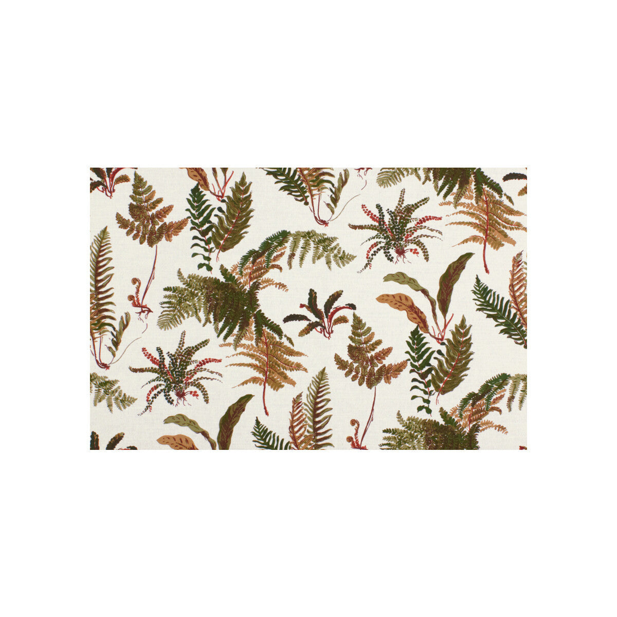 br-793050500-les-fougeres-natural-brunschwig-fils