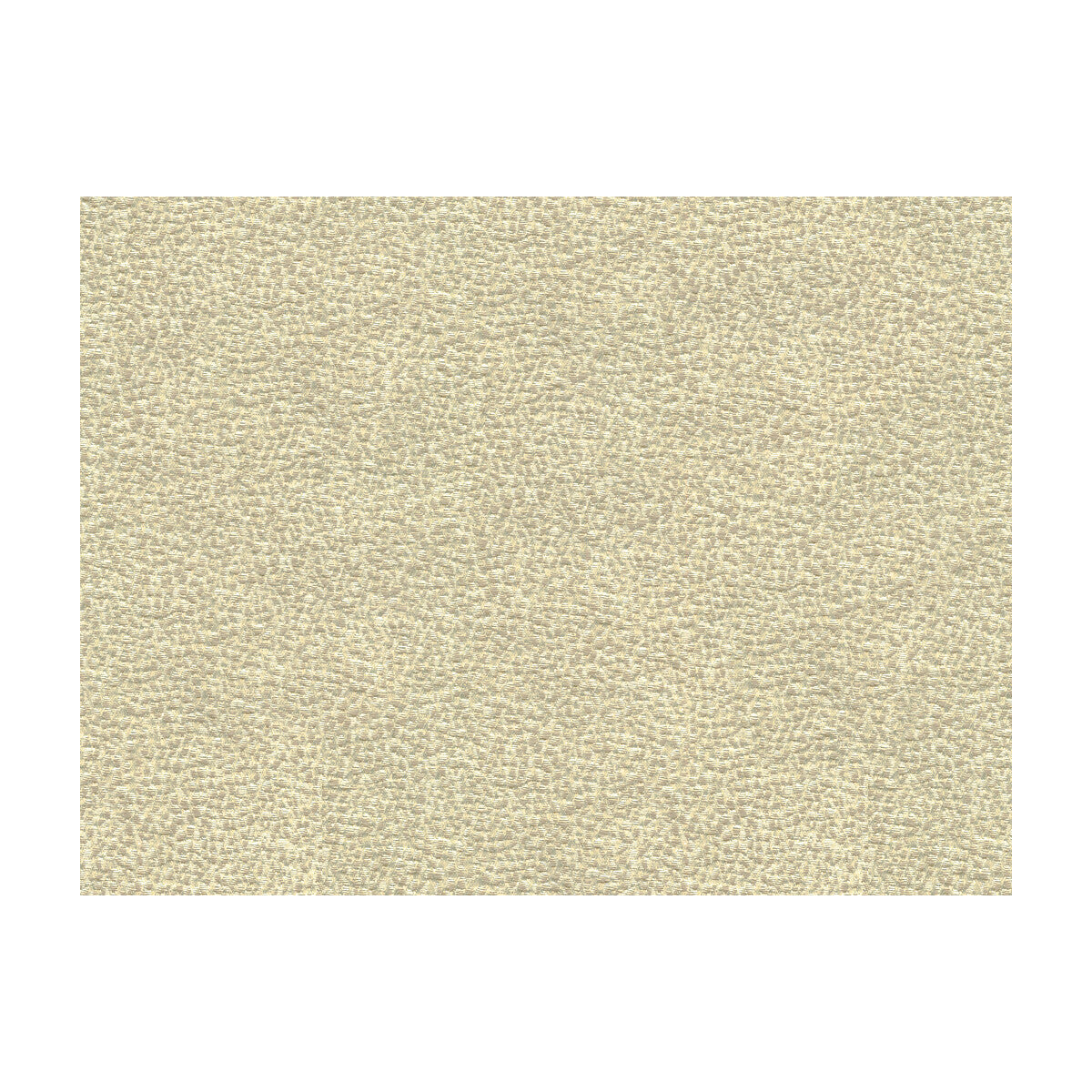 33456110-shagreen-luxury-platinum-kravet-couture