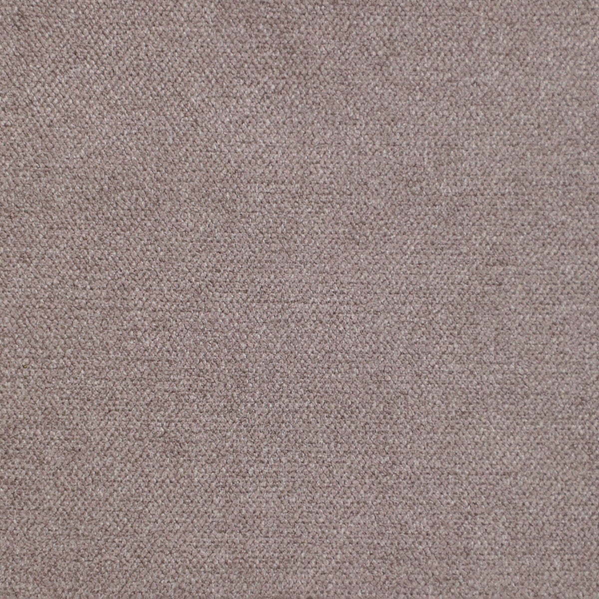 35854100-simbel-rose-clay-kravet-couture