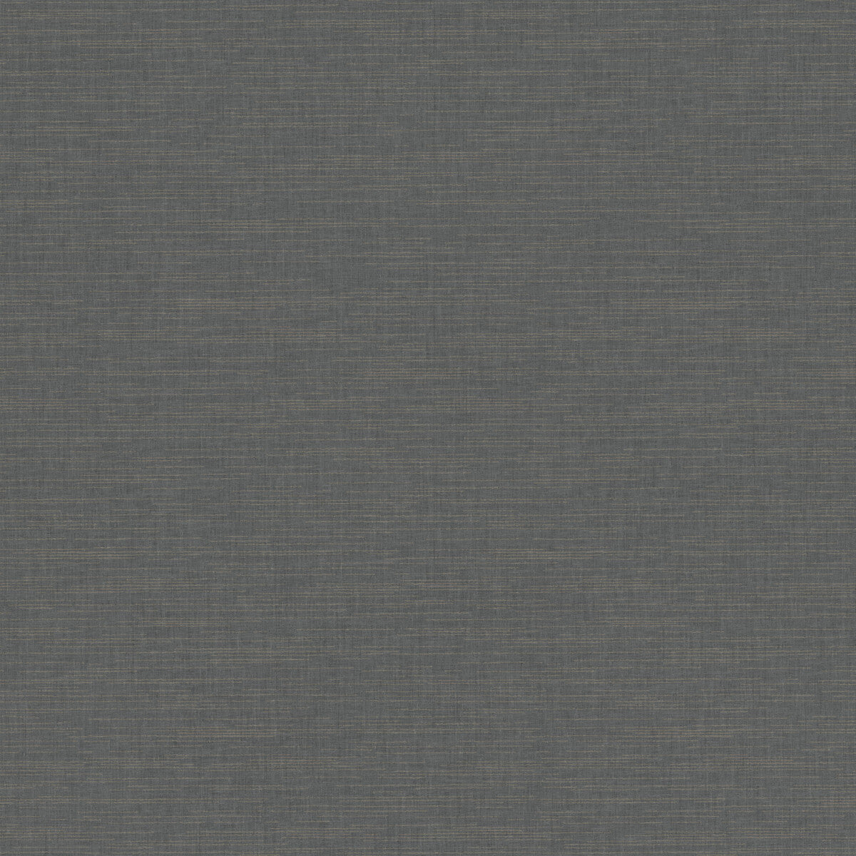 whf3696wt0-tannin-charcoal-winfield-thybony - WINFIELD THYBONY Wallpaper