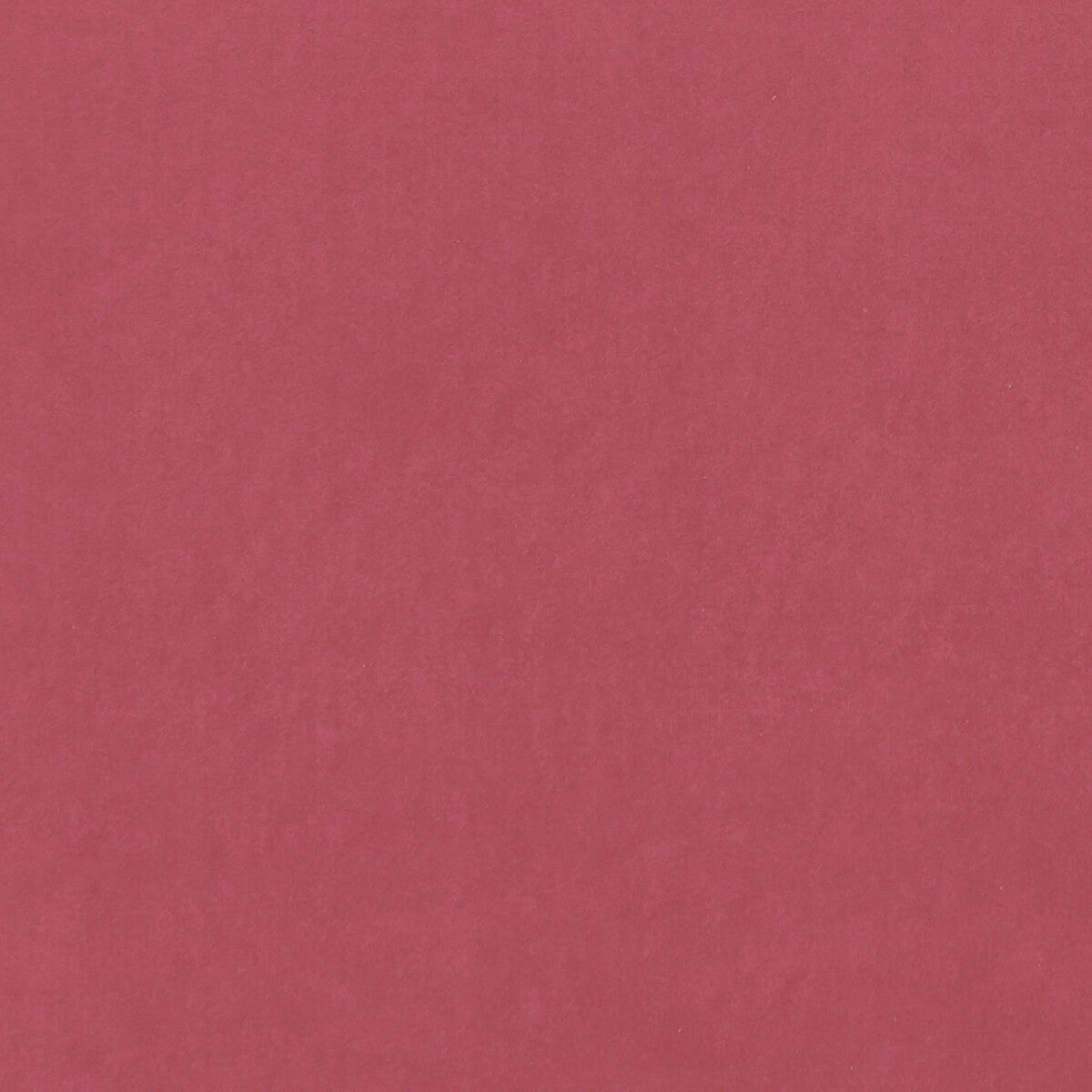 f075389cac0-alvar-peony-clarke-and-clarke - CLARKE AND CLARKE Fabric