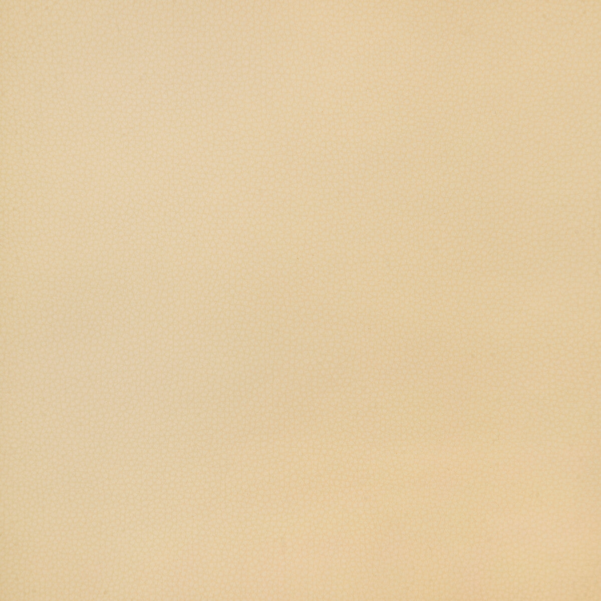 bind160-kravet-design-bind-16-kravet-design
