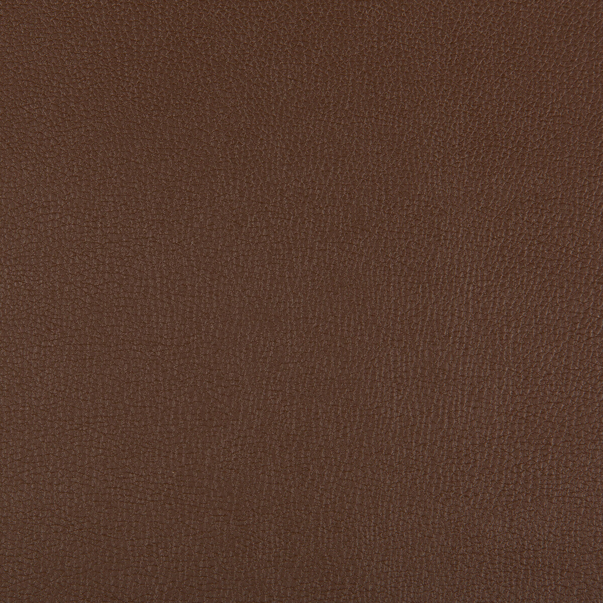 syrus60-syrus-chocolate-kravet-contract