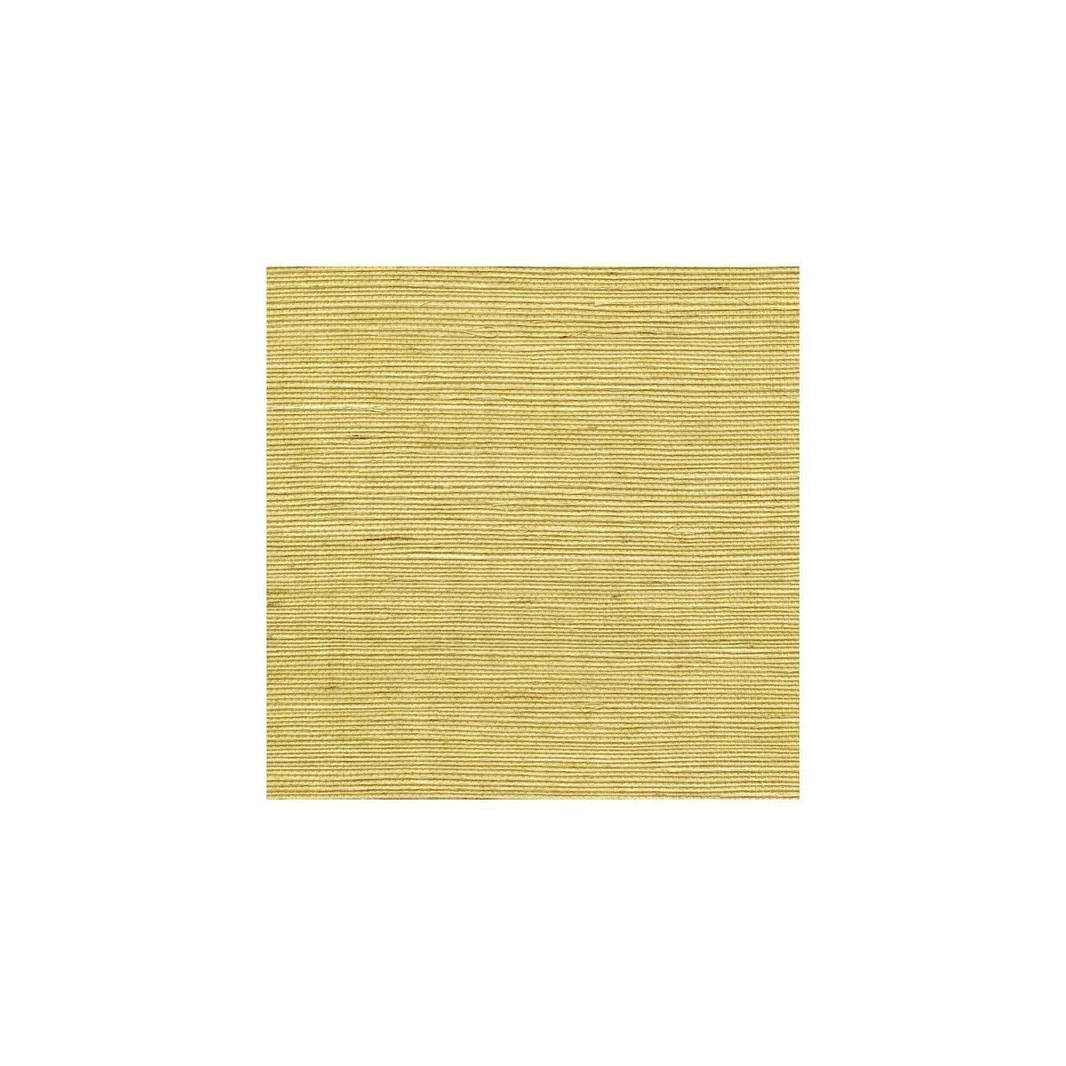 wss4527wt0-sisal-citrine-winfield-thybony - WINFIELD THYBONY Wallpaper