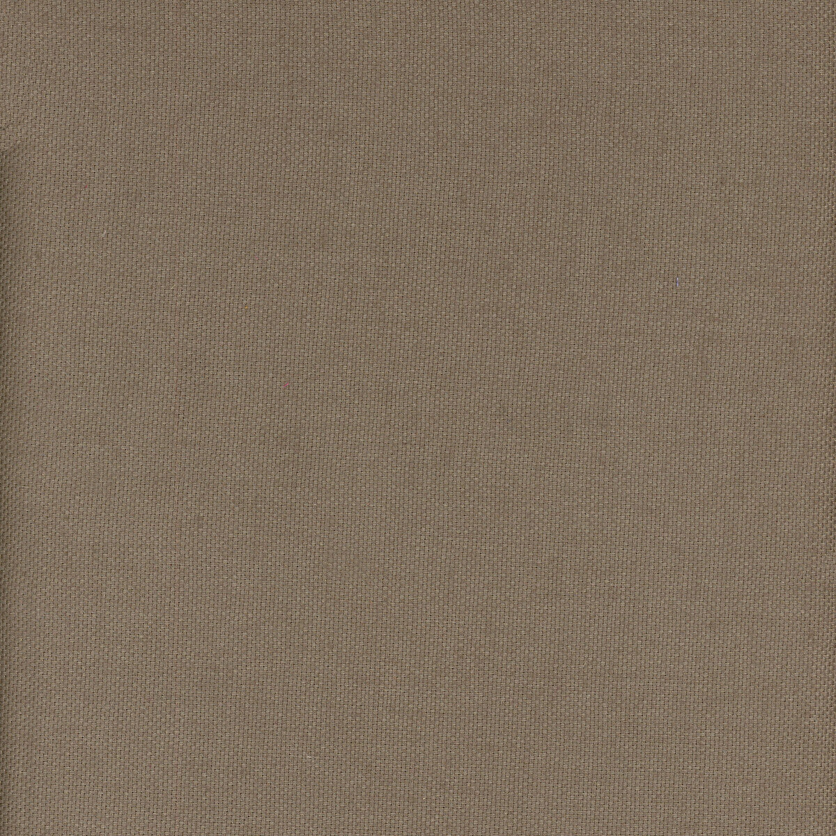 am10034660-beagle-pampas-kravet-couture
