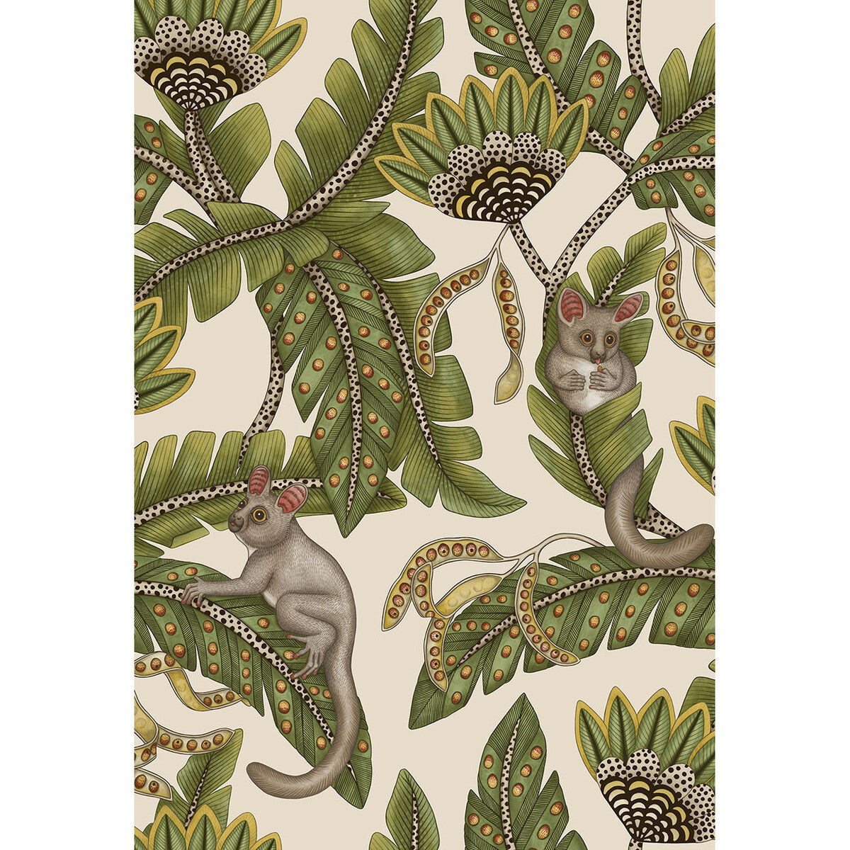1197032cs0-bush-baby-sprgrnmrgldstn-cole-son - COLE & SON Wallpaper