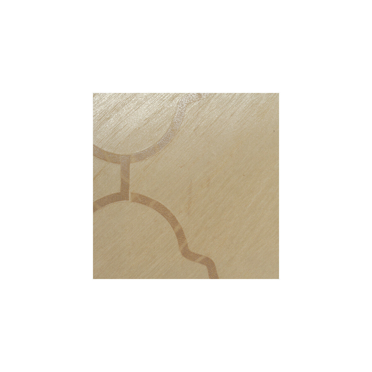 wue2003wt0-amelle-0-winfield-thybony - WINFIELD THYBONY Wallpaper