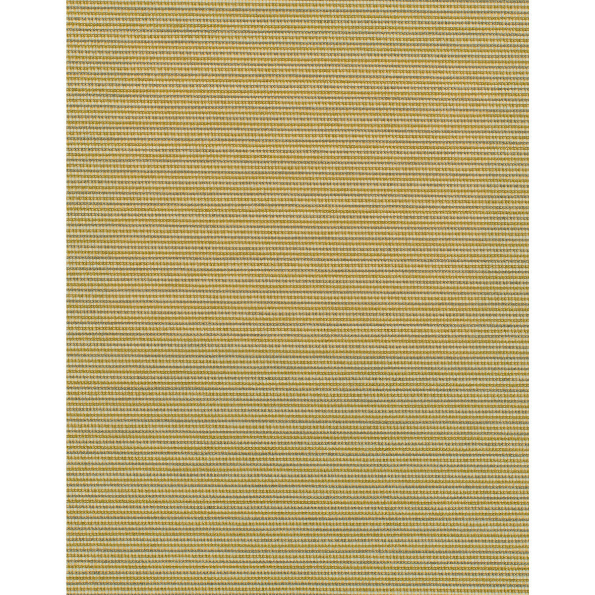 wdw2342wt0-elza-spun-silk-winfield-thybony - WINFIELD THYBONY Wallpaper