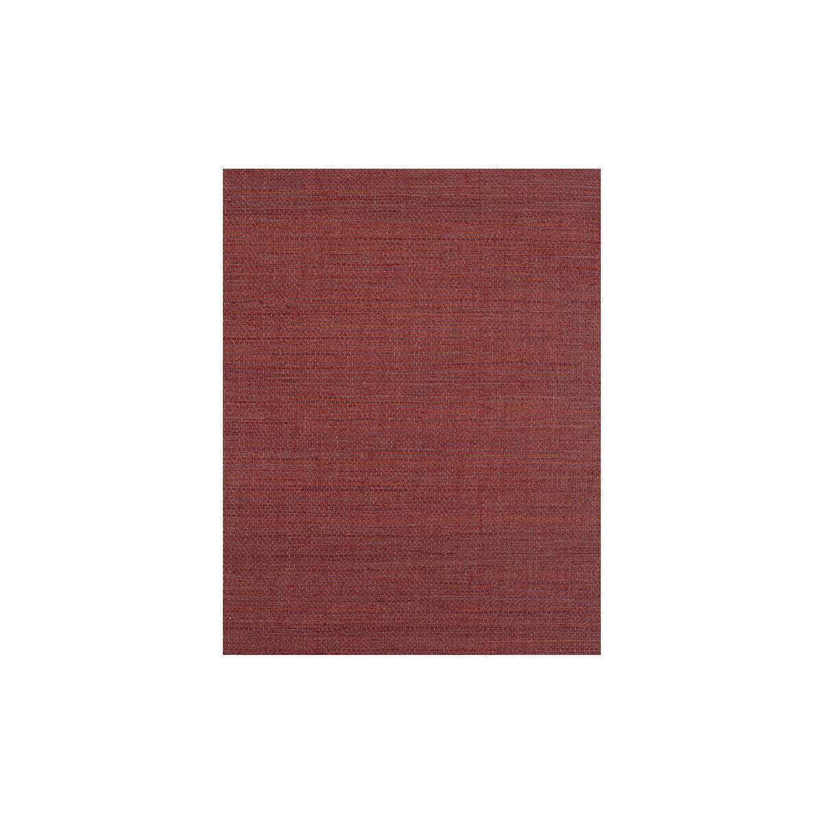 wiw2531wt0-bermuda-berry-winfield-thybony - WINFIELD THYBONY Wallpaper