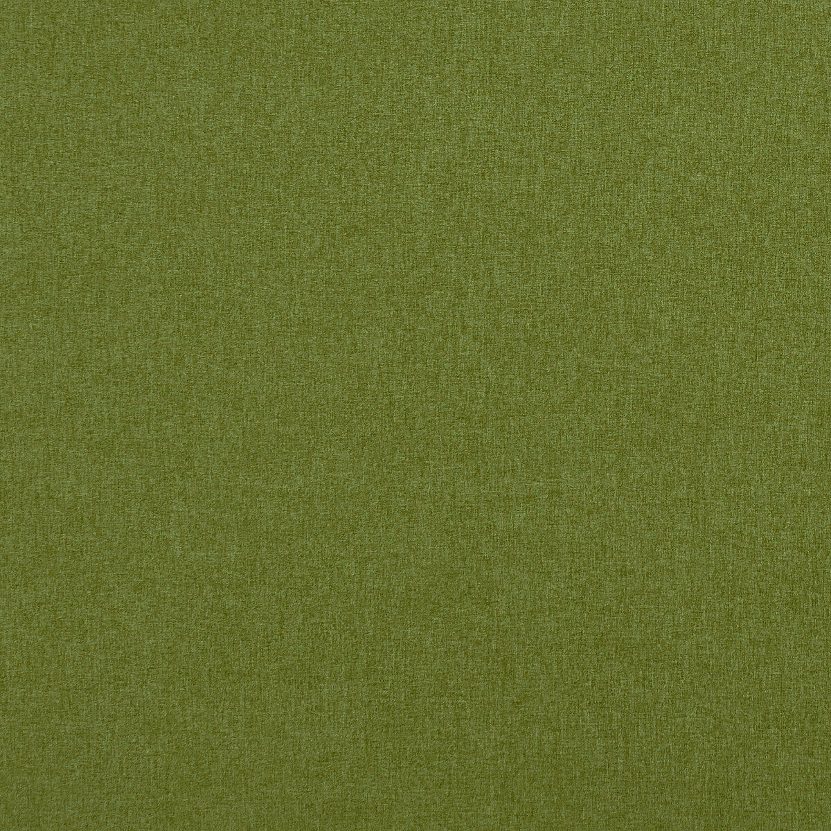 f084830cac0-highlander-amazon-clarke-and-clarke - CLARKE AND CLARKE Fabric