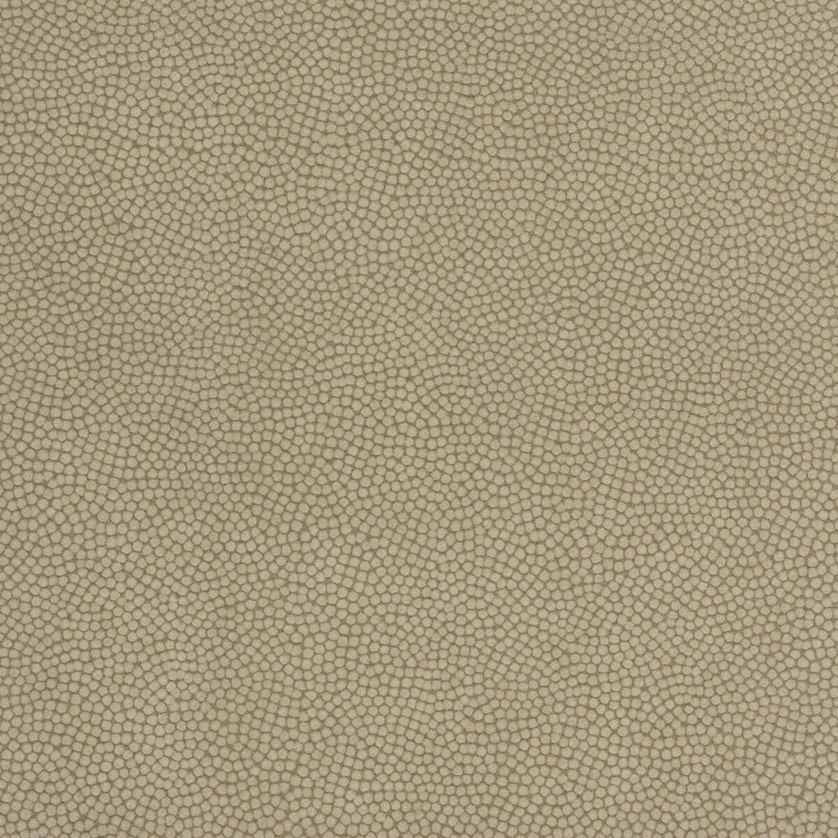 beautymark1060-beautymark-greystone-kravet-couture