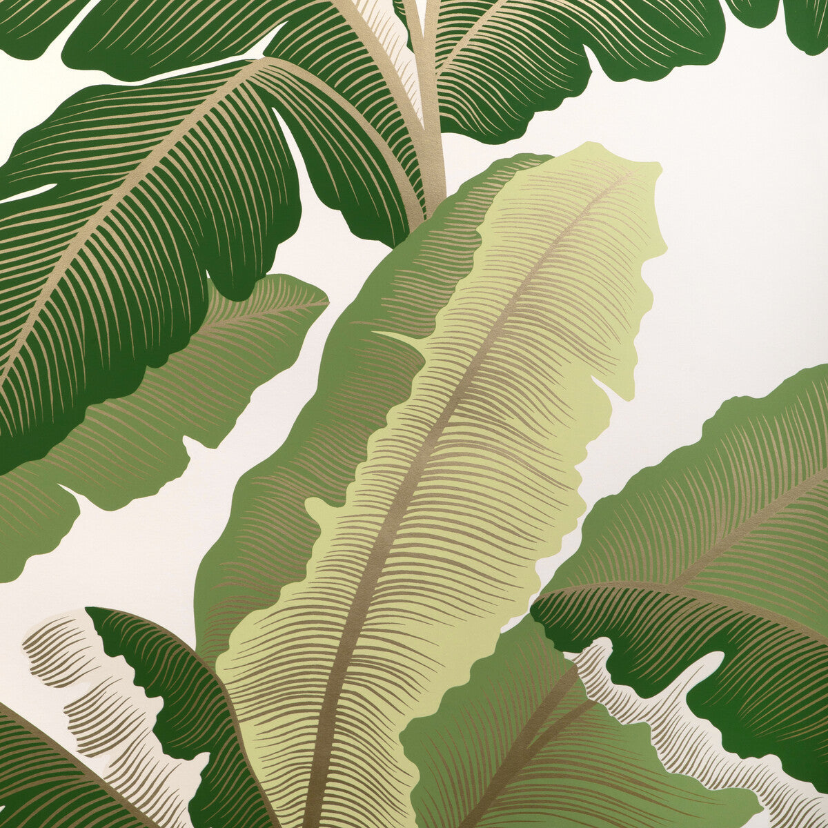 w41511530-isla-royal-wp-golden-palm-kravet-couture - KRAVET COUTURE Wallpaper