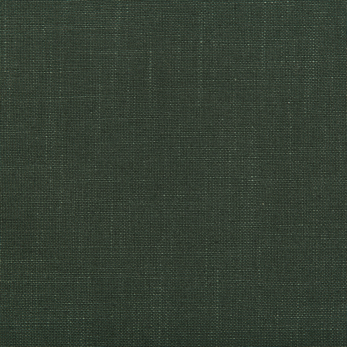 35520300-aura-fern-kravet-design