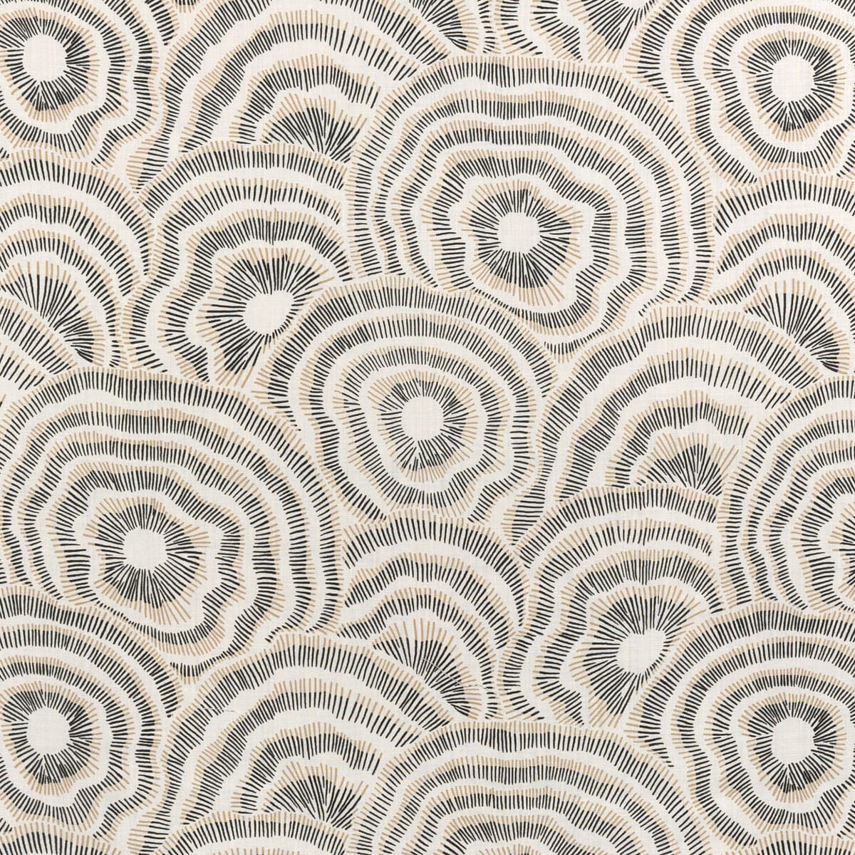 panache8160-panache-onyx-kravet-couture - KRAVET COUTURE Fabric