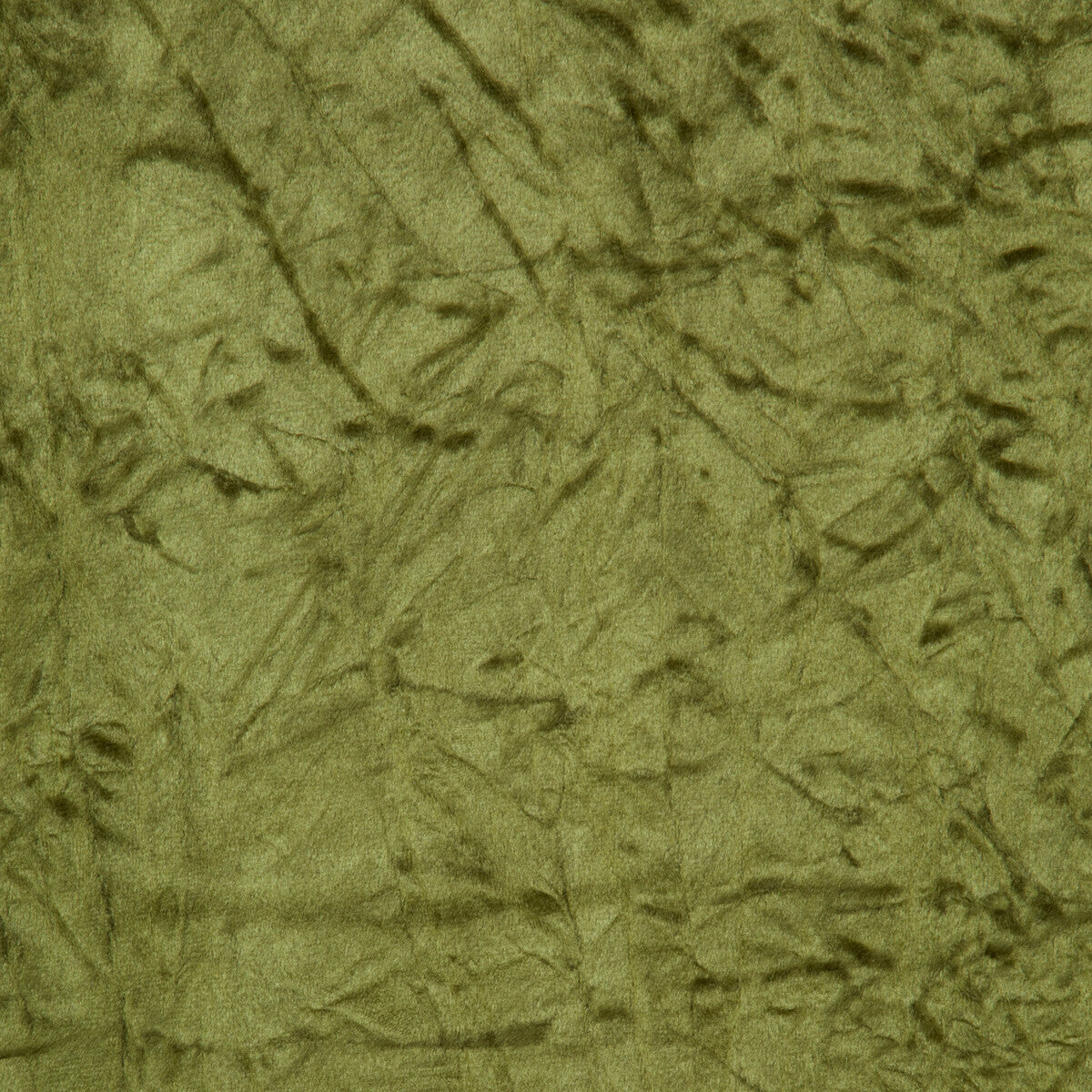 f096606cac0-sylvana-olive-clarke-and-clarke - CLARKE AND CLARKE Fabric