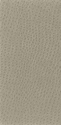 nuostrich6160-nuostrich-shiitake-kravet-basics