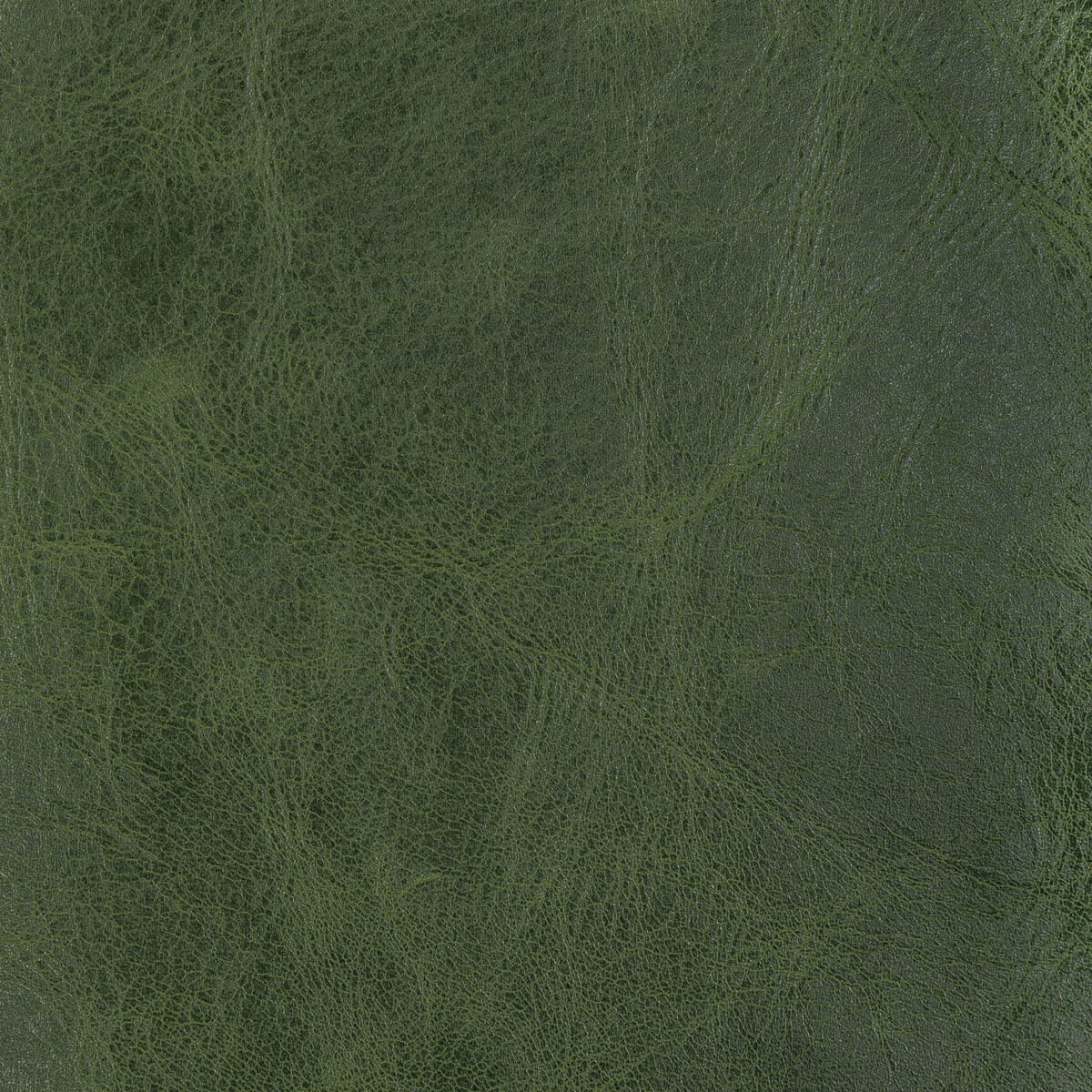 l-brantleyevergreen0-l-brantley-evergreen-kravet-design