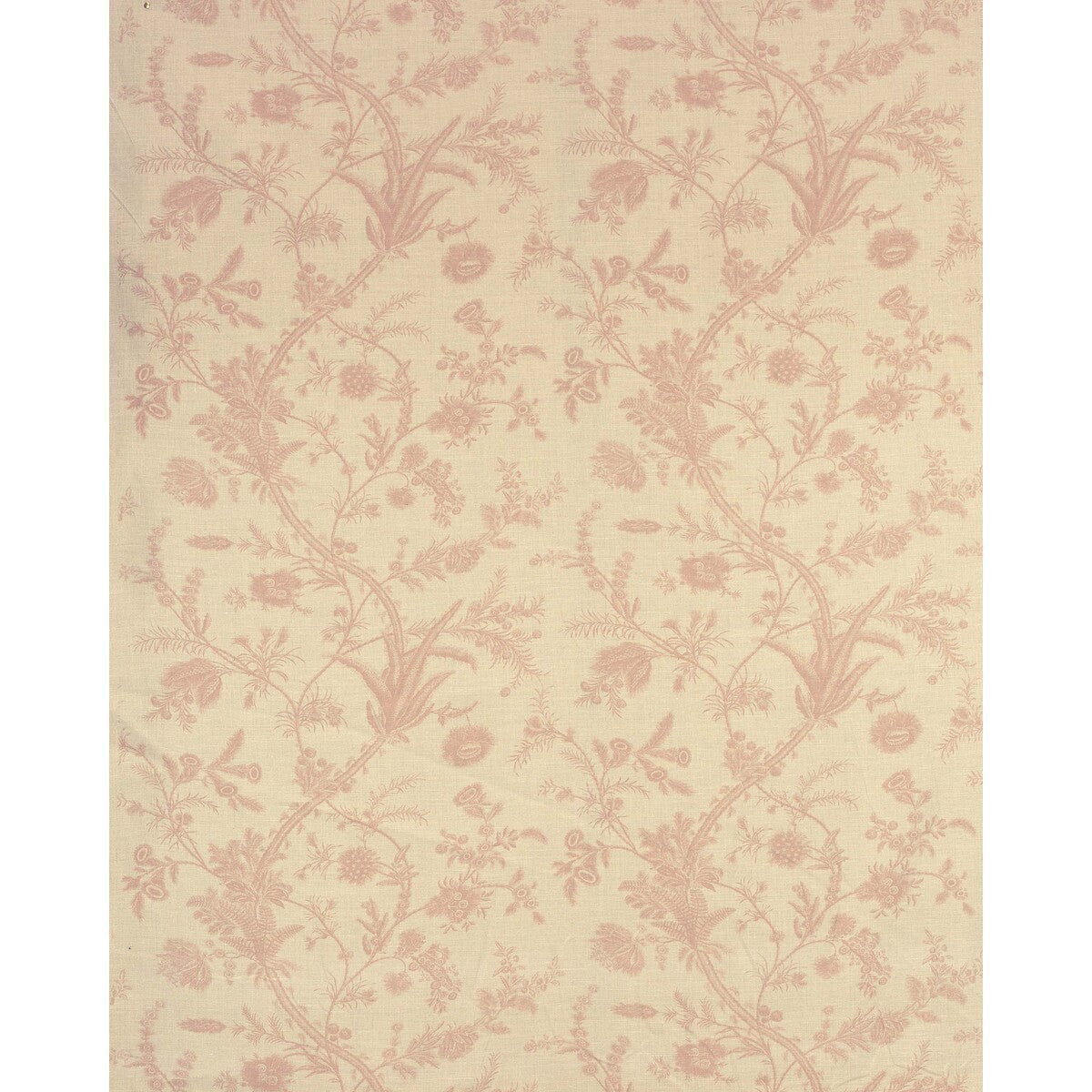 20221237160-plumes-antique-pink-lee-jofa - LEE JOFA Fabric