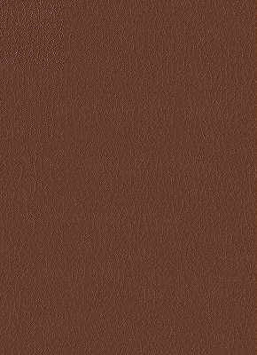 fortune60-kravet-design-fortune-6-kravet-design