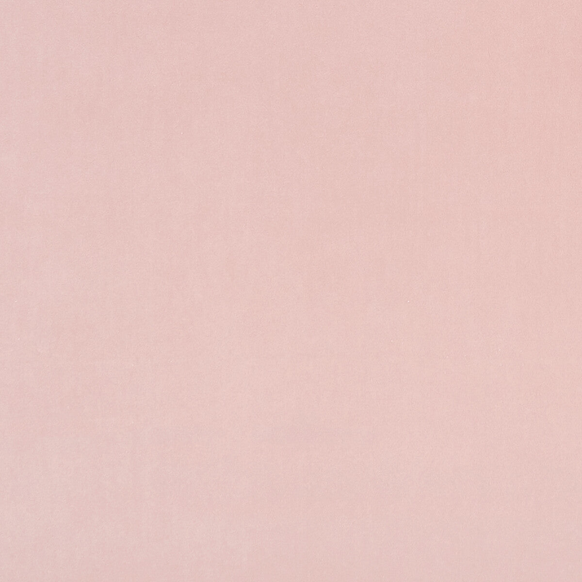 f075390cac0-alvar-petal-clarke-and-clarke - CLARKE AND CLARKE Fabric