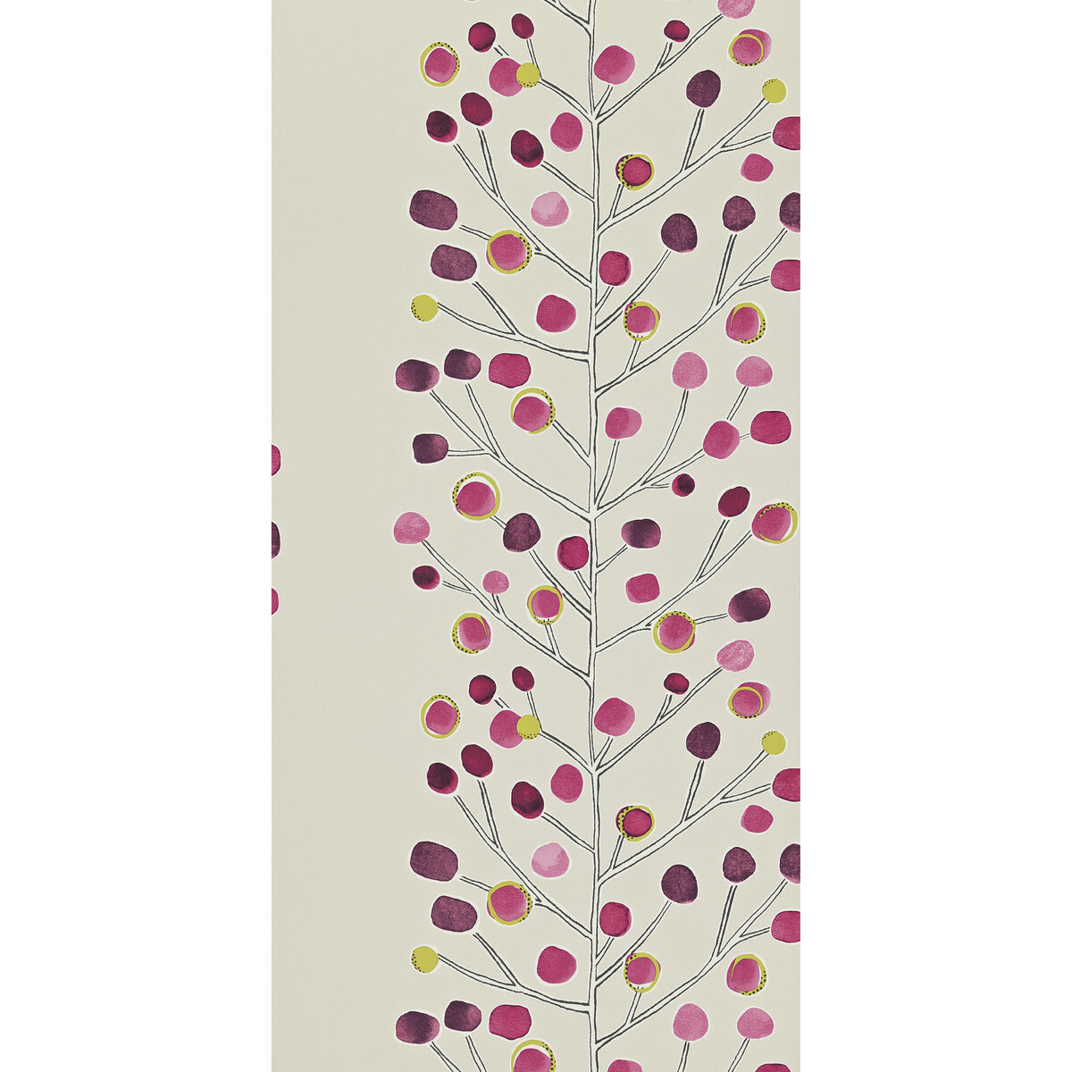 nmel110204scn0-berry-tree-wp-110204-scion