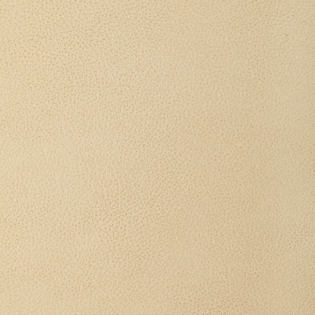 l-lomabuttermilk0-kravet-design-l-loma-buttermilk-kravet-design