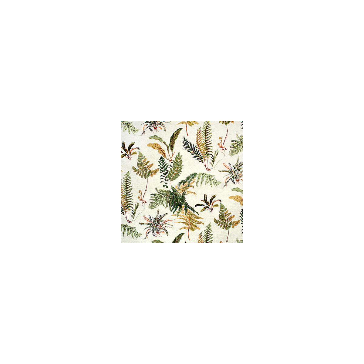 br-793050080-les-fougeres-ivory-brunschwig-fils - BRUNSCHWIG & FILS Fabric