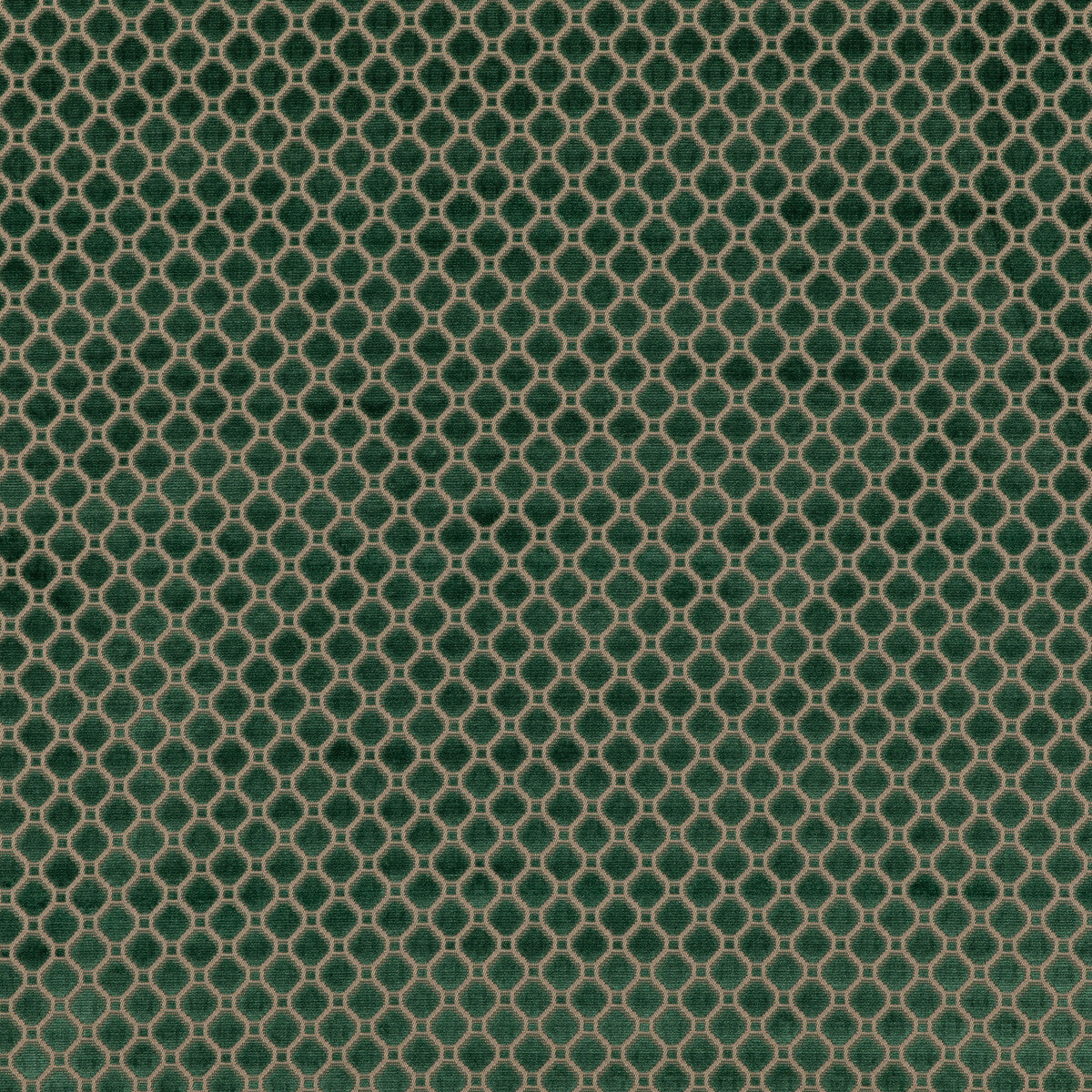 bf108267850-indus-velvet-emerald-g-p-j-baker