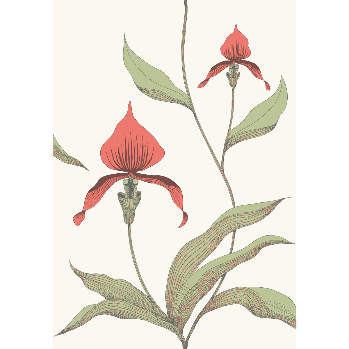 9510054cs0-orchid-redwhite-cole-son - COLE & SON Wallpaper