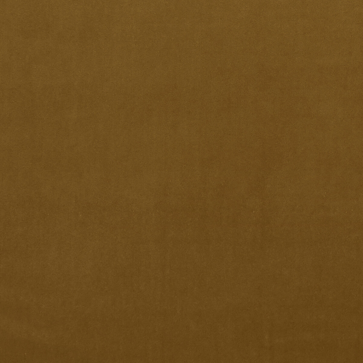 f0753100cac0-alvar-turmeric-clarke-and-clarke - CLARKE AND CLARKE Fabric