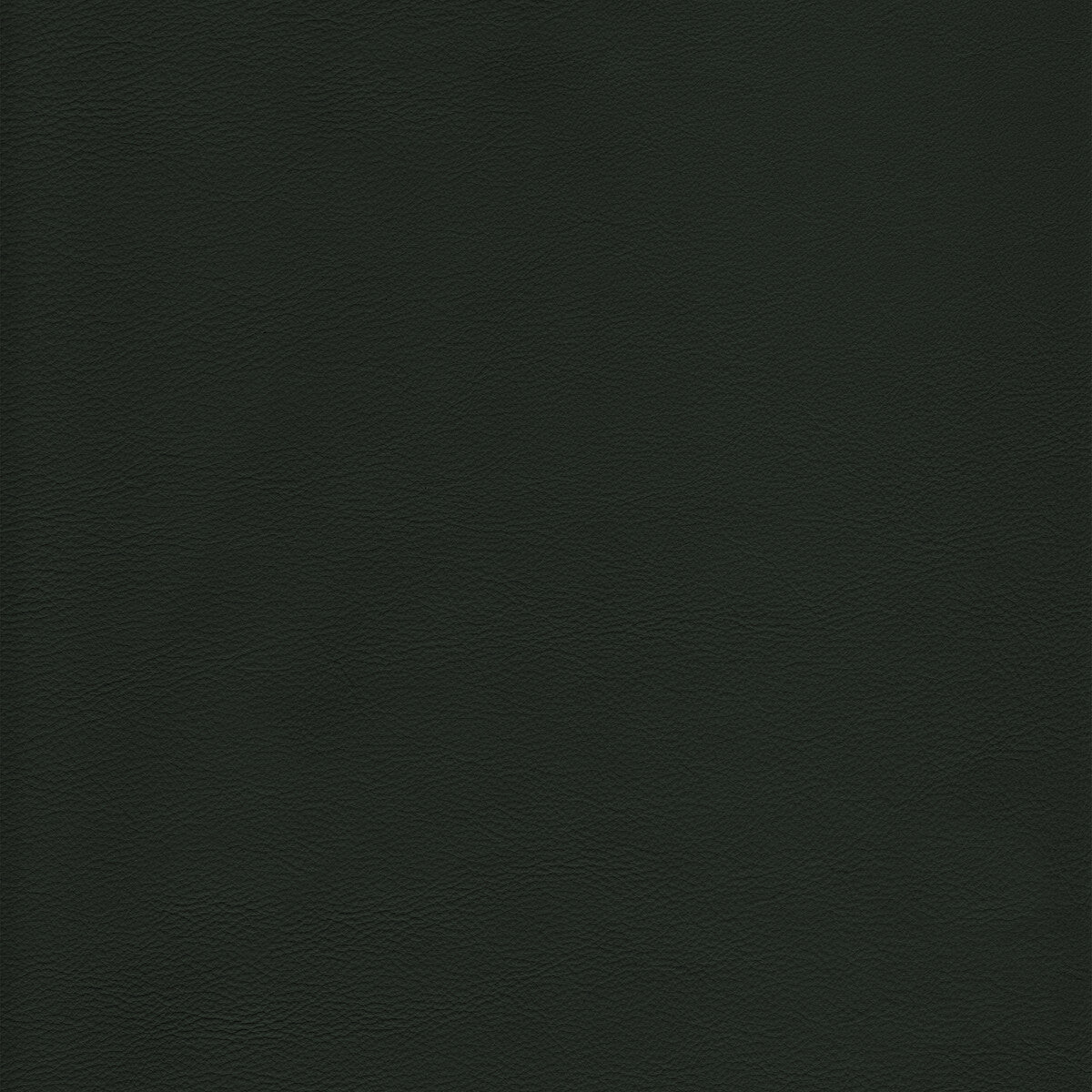 l-howdyevergreen0-kravet-design-l-howdy-evergreen-kravet-design