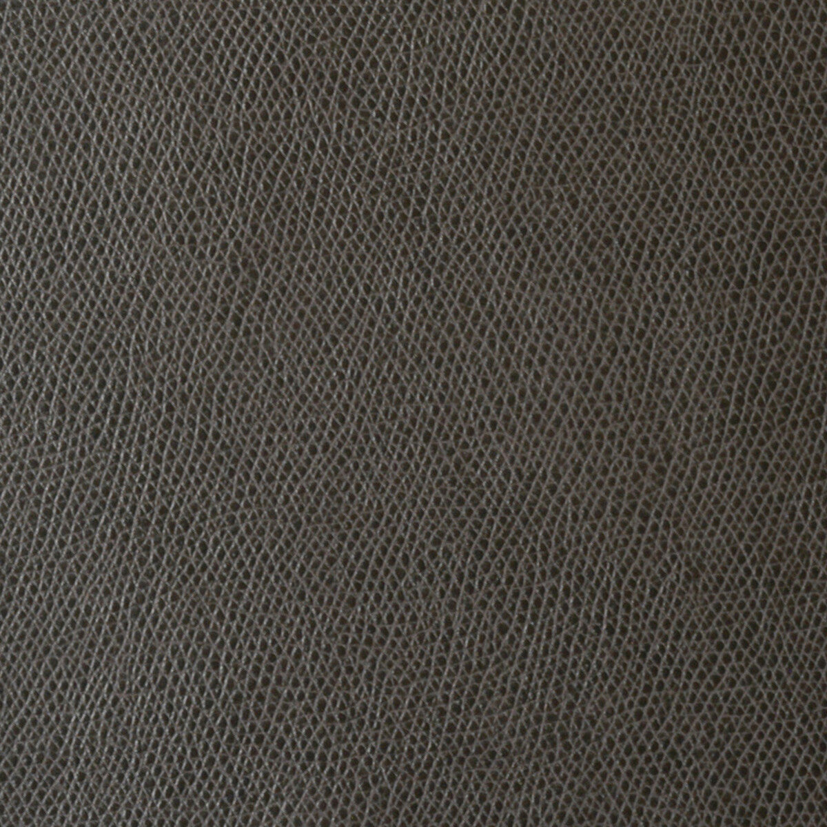ophidian60-ophidian-charcoal-kravet-contract