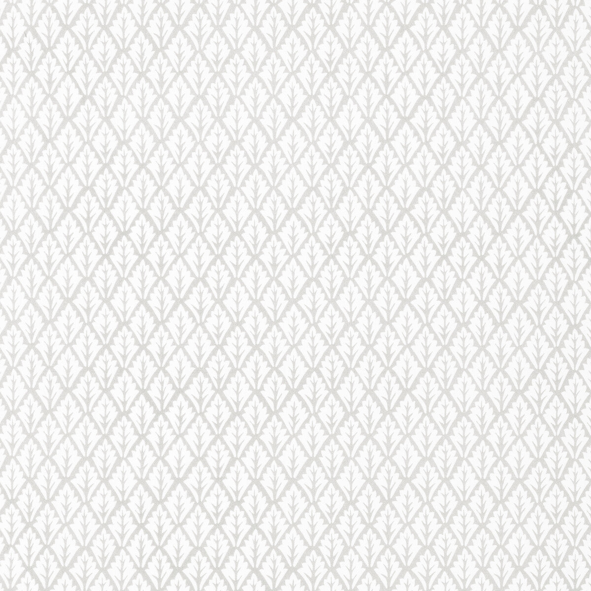 dorso110-dorso-porcini-kravet-basics - KRAVET BASICS Fabric