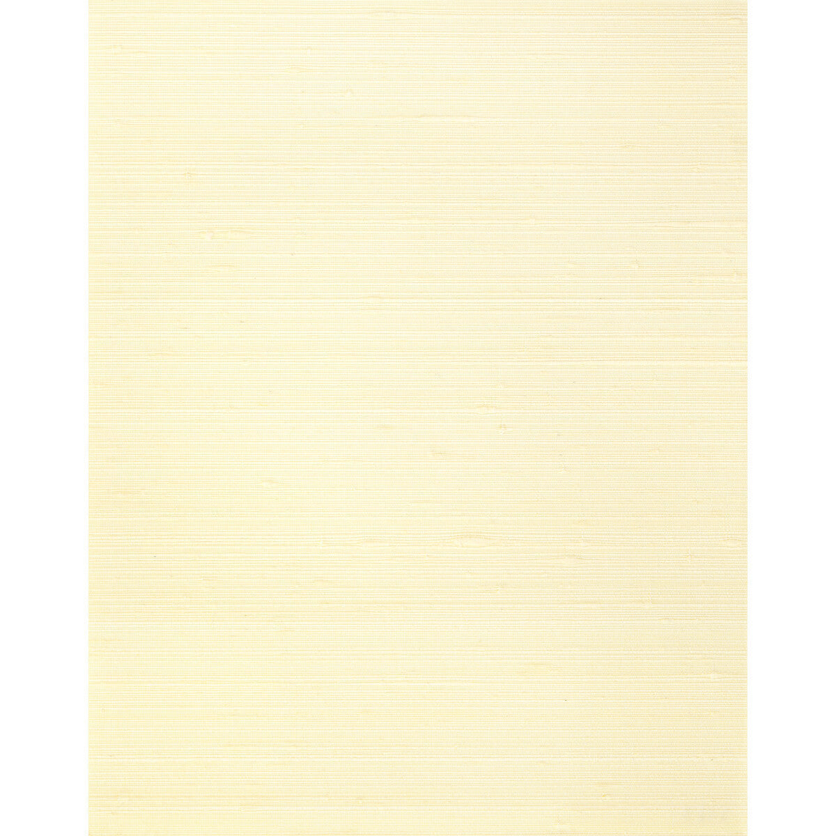 wns5544wt0-misheo-jasmine-winfield-thybony - WINFIELD THYBONY Wallpaper