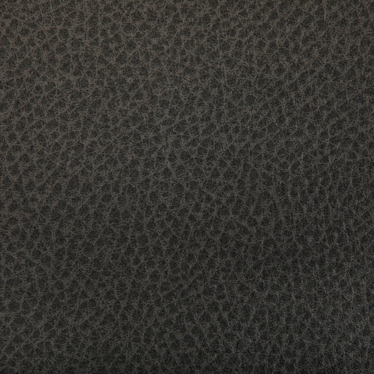 woolf520-woolf-java-kravet-contract - KRAVET CONTRACT Fabric