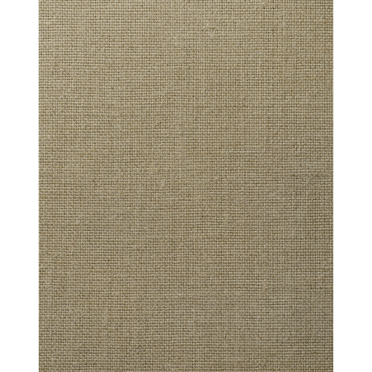 wft1705wt0-chadwick-sandalwood-winfield-thybony - WINFIELD THYBONY Wallpaper