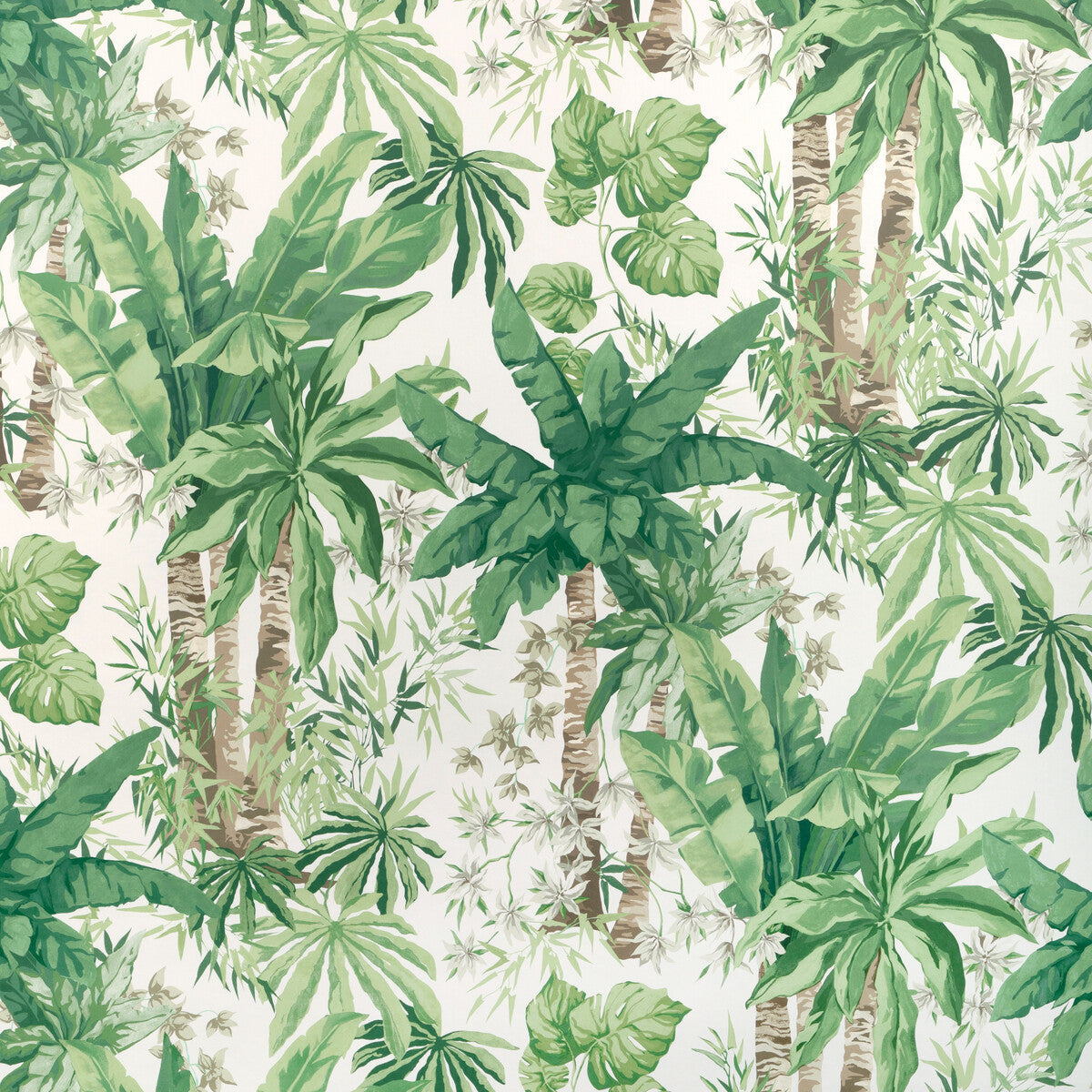 w41473110-junglewood-wp-verde-kravet-couture - KRAVET COUTURE Wallpaper