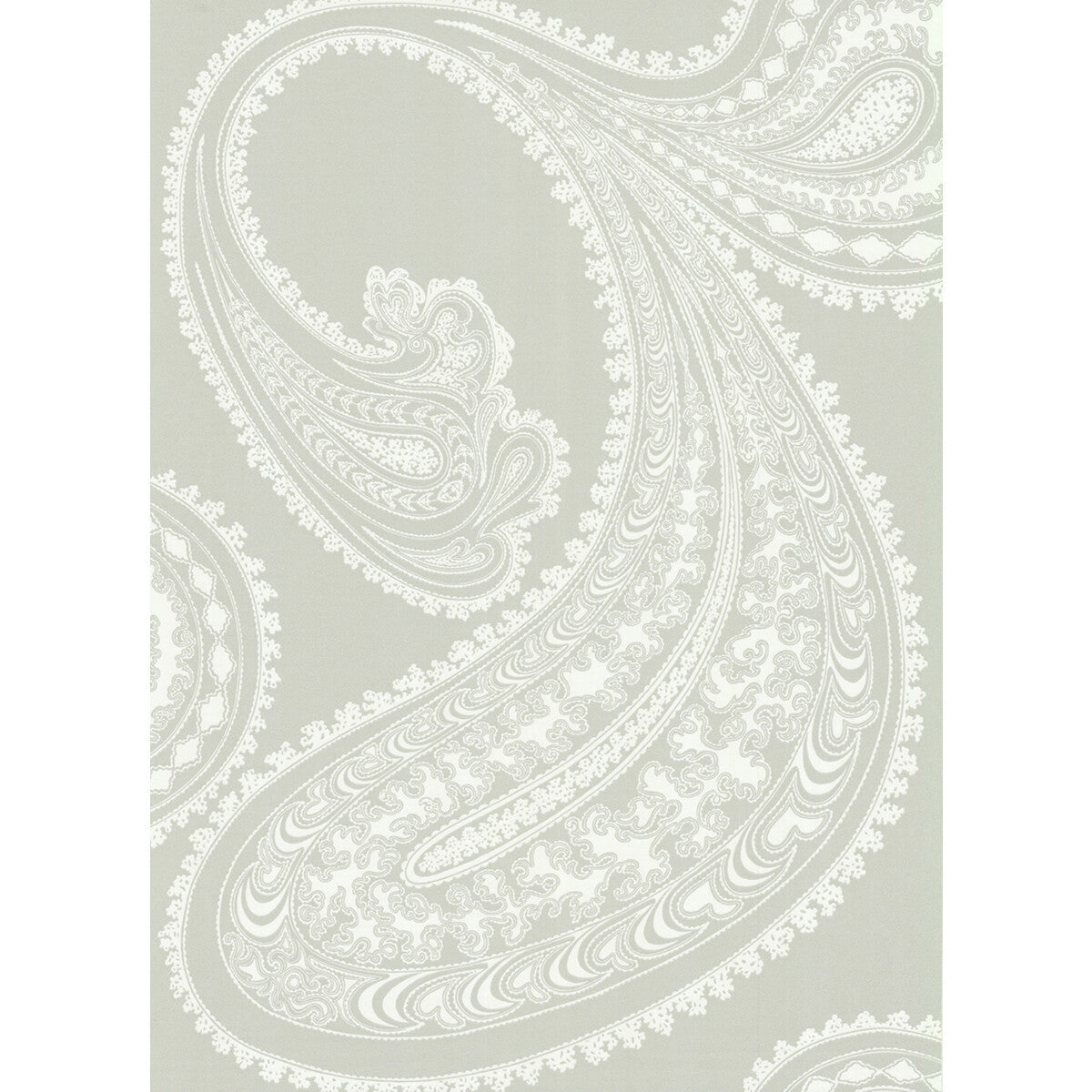 665036cs0-rajapur-whitegy-cole-son - COLE & SON Wallpaper