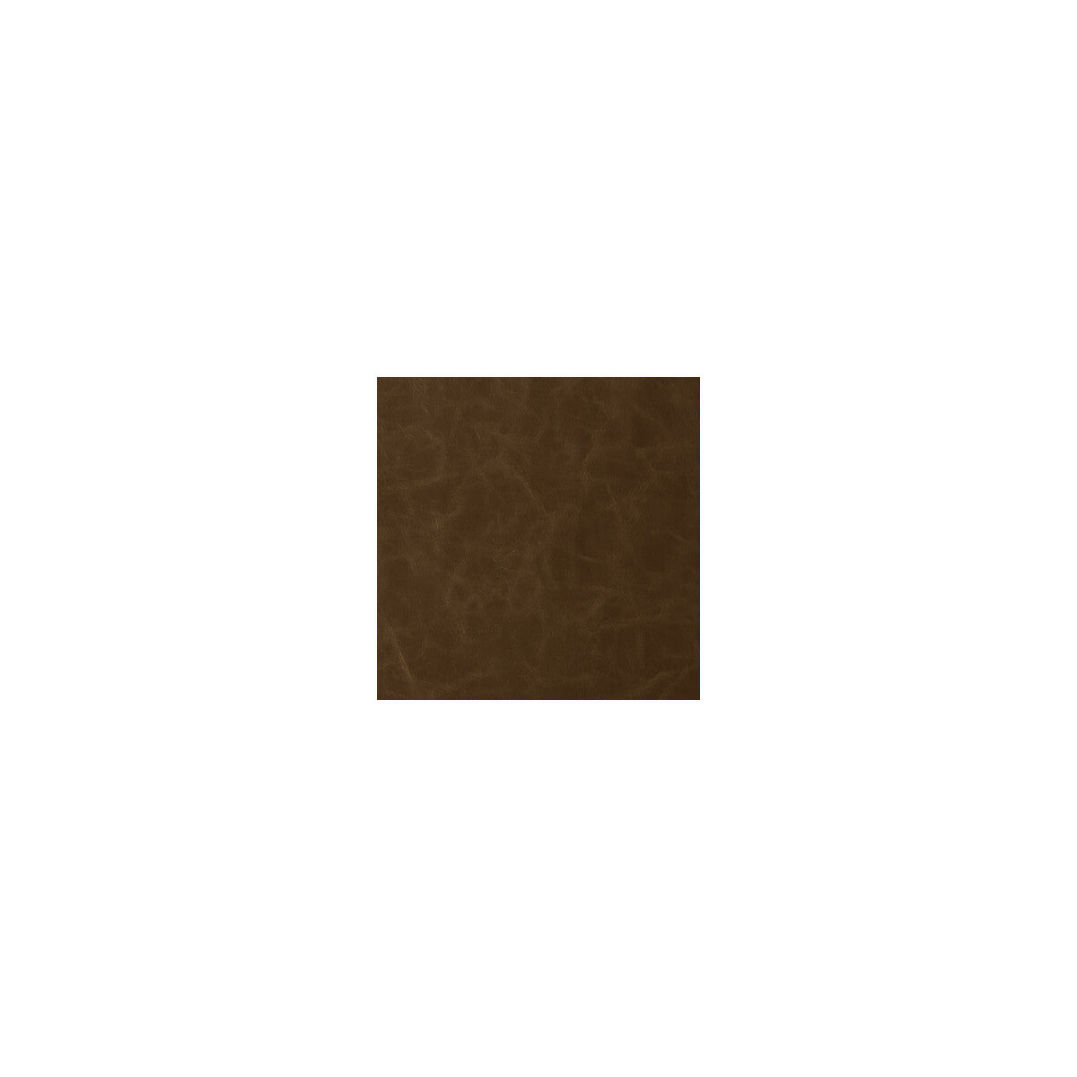 santina6060-santina-walnut-kravet-contract