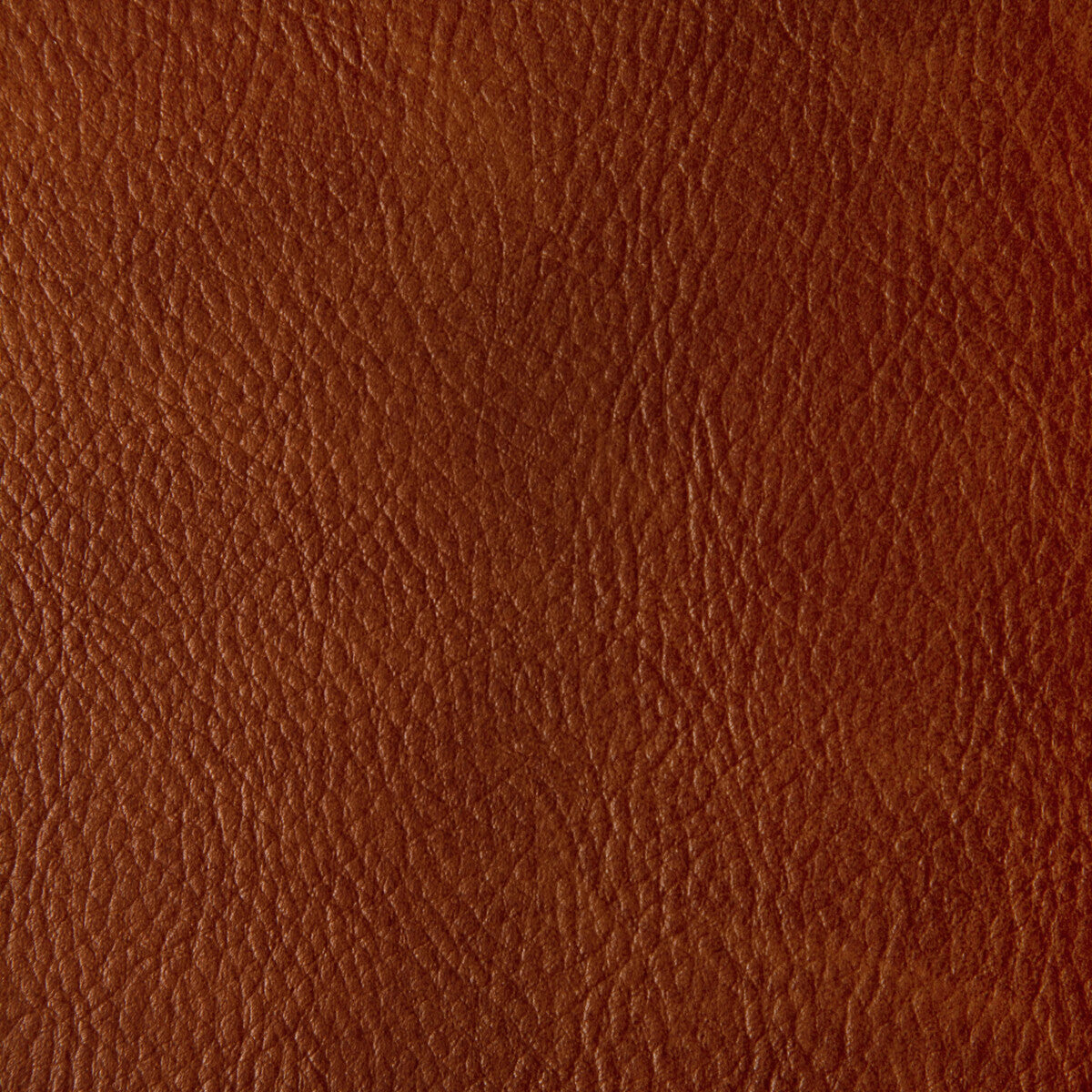 toni240-toni-mesa-kravet-contract