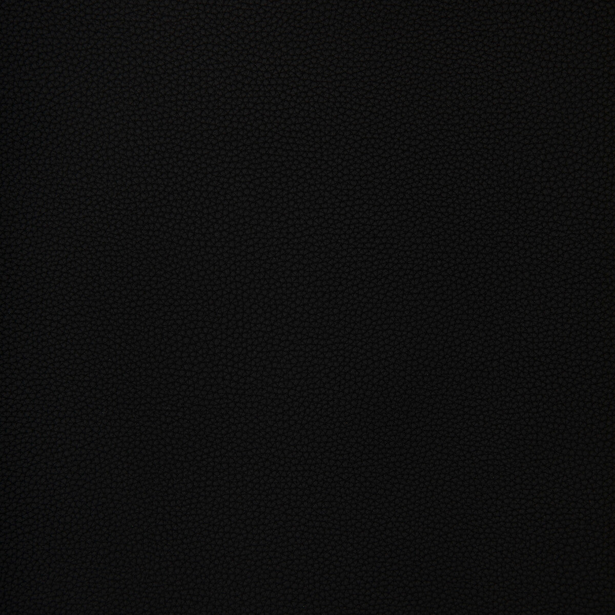 bind80-kravet-design-bind-8-kravet-design