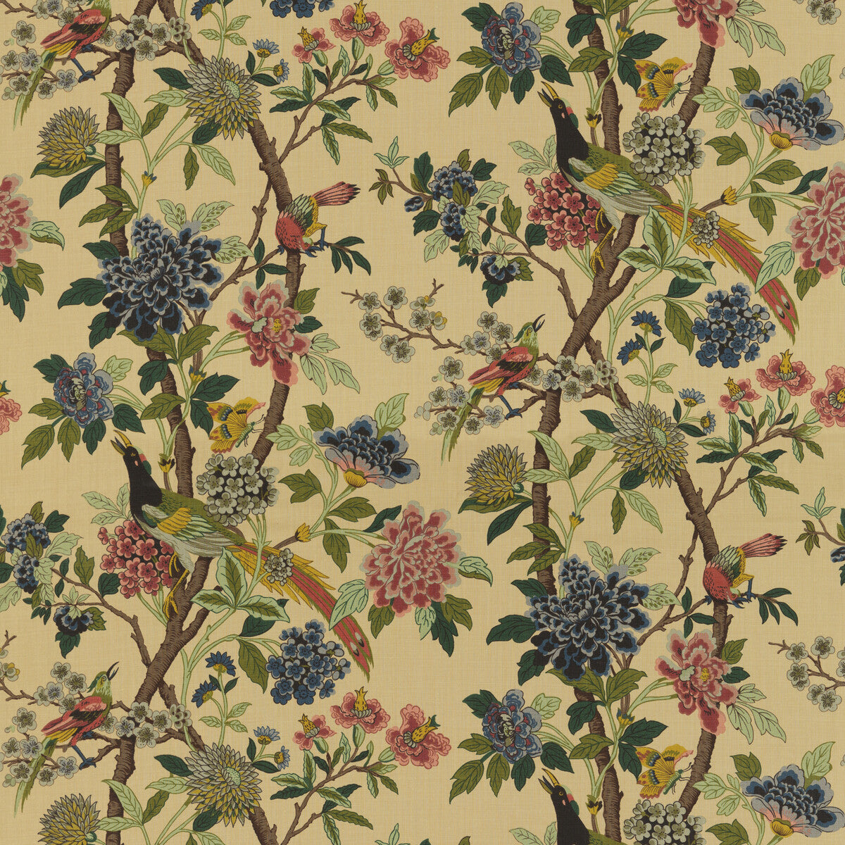 r135530-hydrangea-bird-rosebiscuit-g-p-j-baker